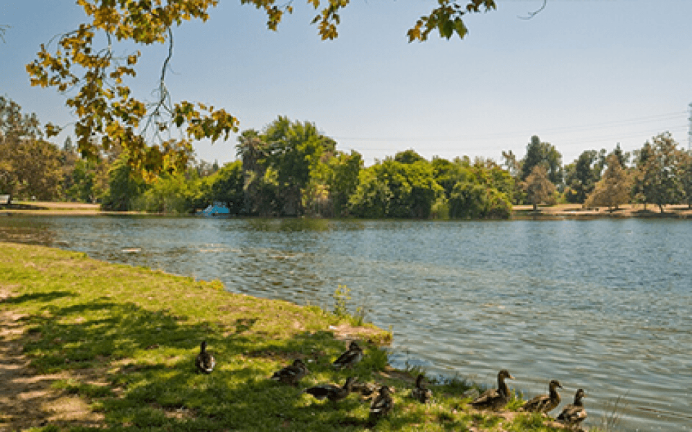 Burbank - Service Area